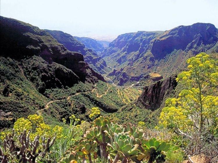 La Cuadra Finca El Calabres อากวีเมส ภายนอก รูปภาพ